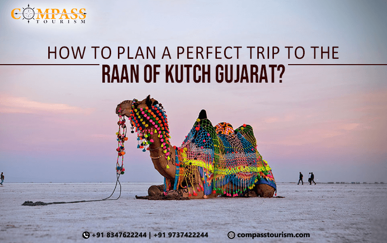 A Comprehensive Guide on Planning Your Perfect Trip to the Raan of Kutch, Gujarat